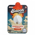 AMNESIA HAZE AUTO 15% INDICA - 80% SATIVA - 5% RUDERALIS THC <30%